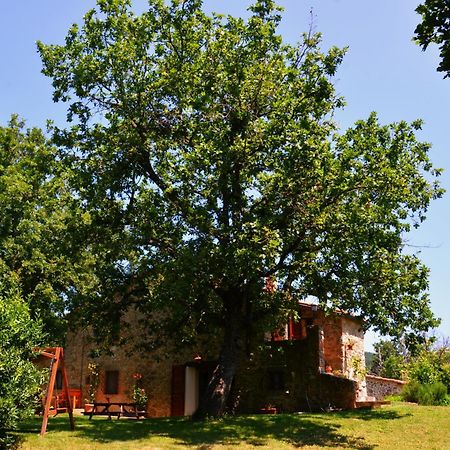 Il Venaio Bed & Breakfast Маса Маритима Екстериор снимка