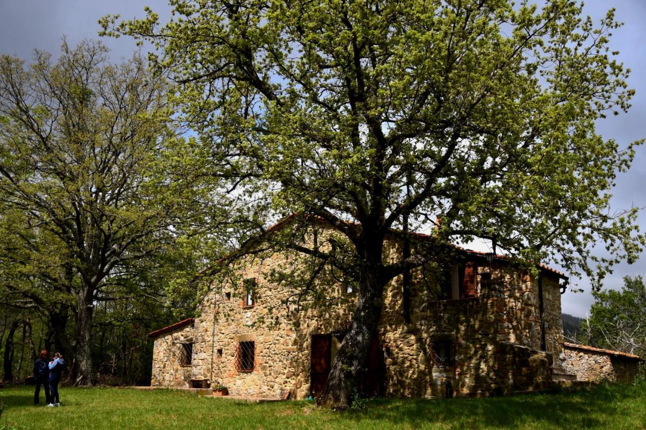 Il Venaio Bed & Breakfast Маса Маритима Екстериор снимка