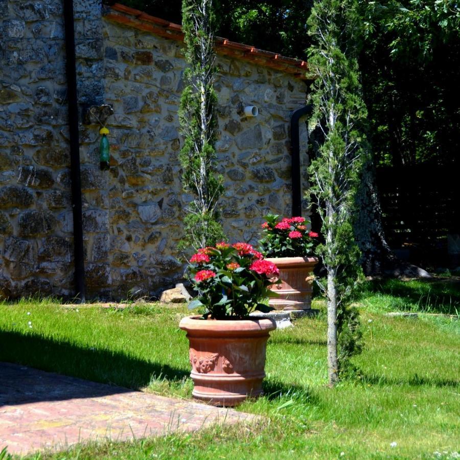 Il Venaio Bed & Breakfast Маса Маритима Екстериор снимка