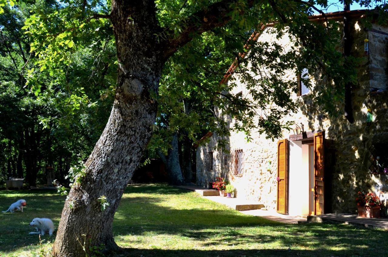 Il Venaio Bed & Breakfast Маса Маритима Екстериор снимка