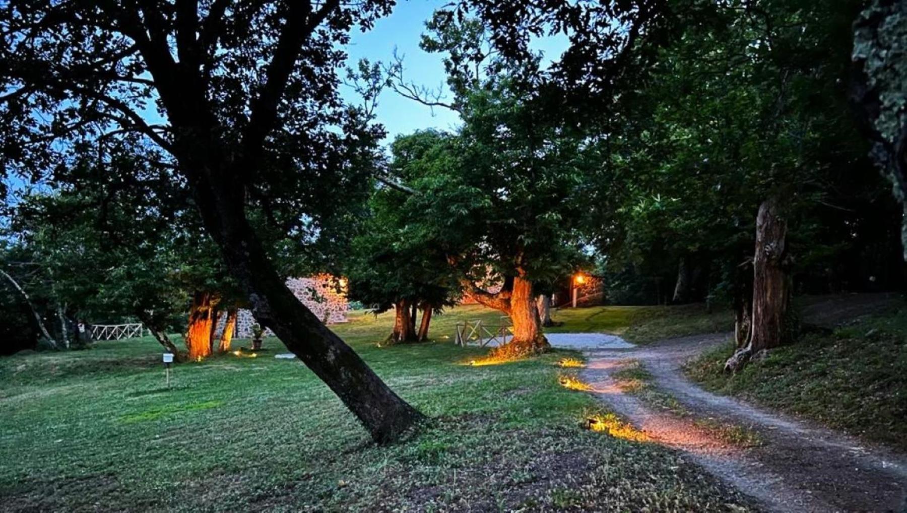 Il Venaio Bed & Breakfast Маса Маритима Екстериор снимка