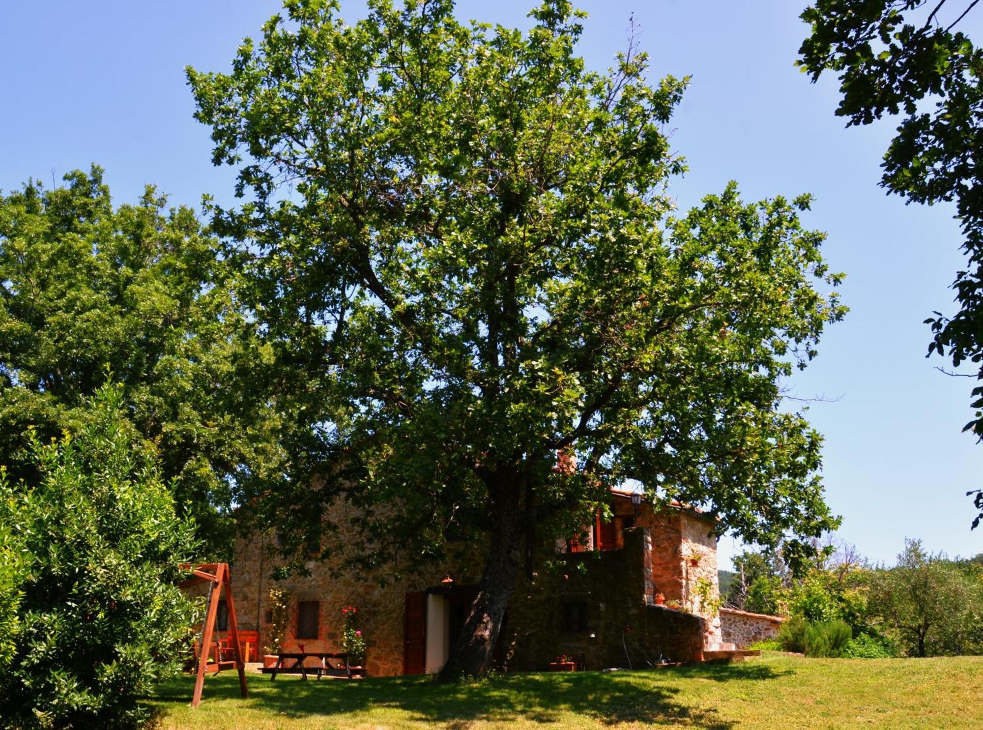 Il Venaio Bed & Breakfast Маса Маритима Екстериор снимка